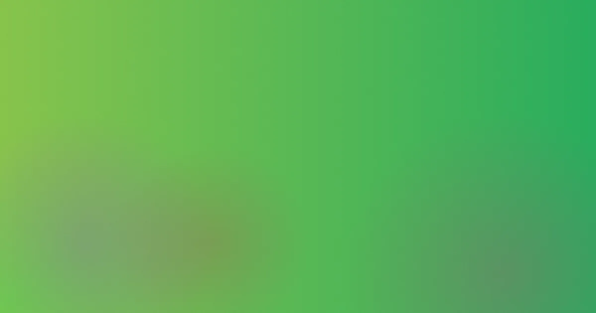 abcd字母表测评避坑